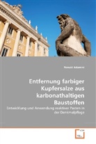 Ronald Adamini, Ronald Adamini - Entfernung farbiger Kupfersalze aus karbonathaltigen Baustoffen