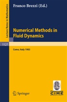 Franco Brezzi - Numerical Methods in Fluid Dynamics