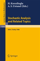 Hayr Korezlioglu, Hayri Korezlioglu, S Ustunel, S Ustunel, Ali S. Ustunel, Ali Süleyman Ustunel - Stochastic Analysis and Related Topics