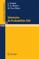 Paul A Meyer, Jaques Azema, Paul A. Meyer, Marc Yor - Seminaire de Probabilites XXII