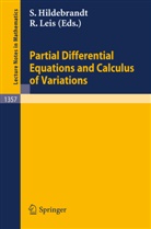 Stefan Hildebrandt, Leis, Rolf Leis - Partial Differential Equations and Calculus of Variations