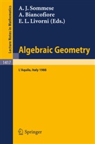 Aldo Biancofiore, Elvira L. Livorni, Andrew J. Sommese - Algebraic Geometry