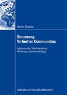 Stefan Stieglitz - Steuerung Virtueller Communities