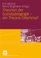 Birgmeier, Birgmeier, Bernd Birgmeier, Eri Mührel, Eric Mührel - Theorien der Sozialpädagogik - ein Theorie-Dilemma?