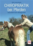Marta Lewandowski - Chiropraktik bei Pferden