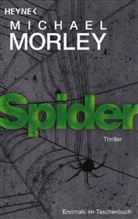Michael Morley - Spider