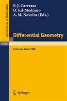Francisco J. Carreras, Olga Gil-medrano, Antonio M. Naveira - Differential Geometry