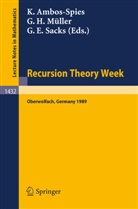 Klaus Ambos-Spies, Gert H. Müller, Gerald E. Sacks - Recursion Theory Week