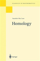Saunders Mac Lane, Saunders Maclane - Homology