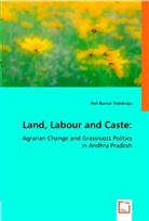 Anil K. Vaddiraju, Anil Kumar Vaddiraju - Land, Labour and Caste: