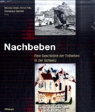 Donat Fäh, Donat (Hrsg.) Fäh, Domenico Giardini, Monika Gisler, Monika (Hrsg.) Gisler - Nachbeben