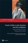 Wendy Cunningham, Wendy/ Mcginnis Cunningham, Linda McGinnis, Cornelia Tesliuc, Rodrigo Garcia Verdu - Youth at Risk in Latin America and the Caribbean