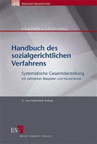 Otto E. Krasney, Otto Ernst Krasney, Peter Udsching - Handbuch des sozialgerichtlichen Verfahrens
