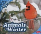 Martha E. H. Rustad, Gail Saunders-Smith - Animals in Winter
