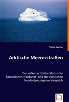 Philipp Kastner - Arktische Meeresstraßen