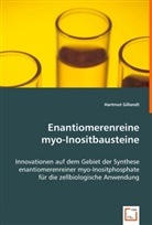 Hartmut Gillandt, Hartmut Gillandt - Enantiomerenreinemyo-Inositbausteine