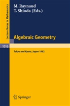 Raynaud, M Raynaud, M. Raynaud, Michel Raynaud, Shioda, Shioda... - Algebraic Geometry