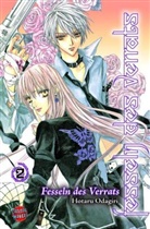 Hotaru Odagiri - Fesseln des Verrats. Bd.2