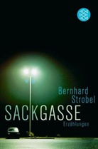 Bernhard Strobel - Sackgasse