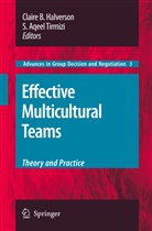 Aqeel Tirmizi, Aqeel Tirmizi, Clair B Halverson, Claire B Halverson, Claire B. Halverson, S. Aqeel Tirmizi - Effective Multicultural Teams: Theory and Practice