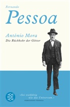 Fernando Pessoa, Steffe Dix, Steffen Dix - António Mora
