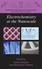 Patri Schmuki, Patrik Schmuki, Virtanen, Virtanen, Sannakaisa Virtanen - Electrochemistry at the Nanoscale
