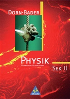 Physik: Dorn / Bader Physik SII - Gesamtausgabe 1998