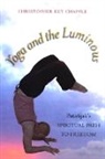 Christopher Key Chapple - Yoga and the Luminous