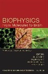 Pavle R. Andjus, Radoslav K. Andjus, Bogdan Djuricic, Z Vucinic, Zeljko Vucinic, Zeljko Djuricic Vucinic... - Biophysics From Molecules to Brain: In Memory of Radolslav K. Andjus