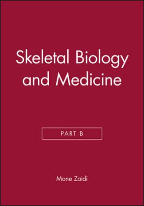 Mone Zaidi, Mone Zaidi,  Zaidi Mone - Skeletal Biology and Medicine, Part B
