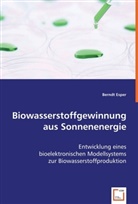Berndt Esper - Biowasserstoffgewinnung aus Sonnenenergie