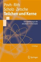 Bogdan Povh, Klaus Rith, Christoph Scholz - Teilchen und Kerne