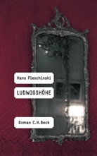 Hans Pleschinski - Ludwigshöhe