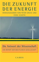 Grus, Pete Gruss, Peter Gruß, Schüt, Schüth, Schüth... - Die Zukunft der Energie