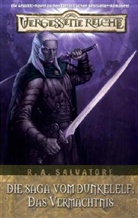 R. A. Salvatore, Robert A. Salvatore, Tim Seeley - Vergessene Reiche, Die Saga vom Dunkelelf - 7: Die Saga vom Dunkelelf