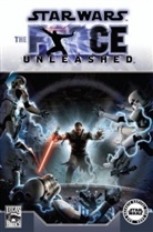 Haden Blackman, Haden W Blackman, Brian Ching, Brian Ching, Bong Dazo, Bong Dazu - Star Wars, Sonderbände - Bd.45: The Force Unleashed