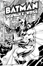 Brian Azzarello, Mike Mignola - Batman: Schwarz-Weiss Collection
