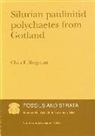 C. F. Bergman, Claes F. Bergman - Silurian Paulinitid Polychaetes from Gotland