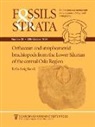 Baarli, B. G. Baarli, B. Gudveig Baarli - Orthacean and Strophomenid Brachiopods from the Lower Silurian of the Central Oslo Region