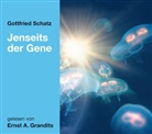 Gottfried Schatz, Ernst A. Grandits - Jenseits der Gene (Audio book)