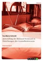 Eva-Maria Schmidt - Anwendung der Balanced Scorecard in Einrichtungen des Gesundheitswesens