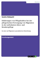 Sandra Hüdepohl - Pflegerische Versorgung von Migranten in der ambulanten Alten- und Krankenpflege