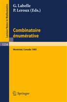 Gilbert Labelle, Pierre Leroux - Combinatoire enumerative