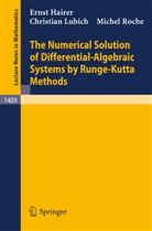 Ernst Hairer, Christian Lubich, Michel Roche - The Numerical Solution of Differential-Algebraic Systems by Runge-Kutta Methods