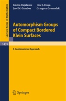 Emilio Bujalance, Jose J. Etayo, Jose M. Gamboa, Grzegorz Gromadzki - Automorphism Groups of Compact Bordered Klein Surfaces