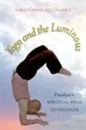 Christopher Key Chapple - Yoga and the Luminous