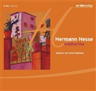 Hermann Hesse, Ulrich Matthes - Siddhartha, 4 Audio-CDs (Audio book)