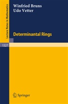 Winfried Bruns, Udo Vetter - Determinantal Rings