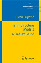 Damir Filipovic - Term-Structure Models