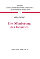 Akira Satake, Ferdinand Hahn, Dietrich-Alex Koch, Heinrich A. W. Meyer, Thomas Witulksi, Thoma Witulski... - Kritisch-exegetischer Kommentar über das Neue Testament - 16: Die Offenbarung des Johannes